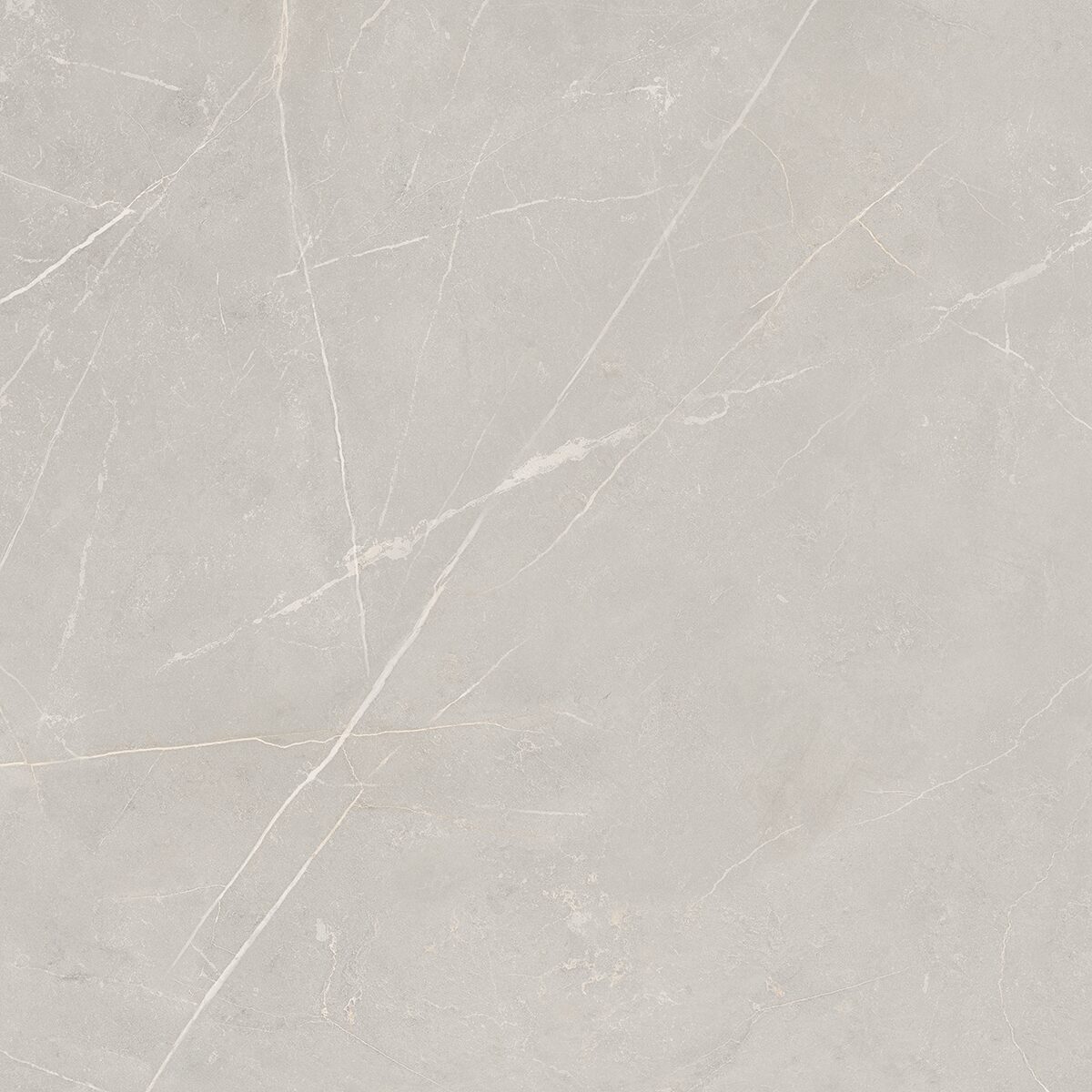 Плитка из керамогранита NL02 60x60x10 Непол.Рект. (Керамический гранит)