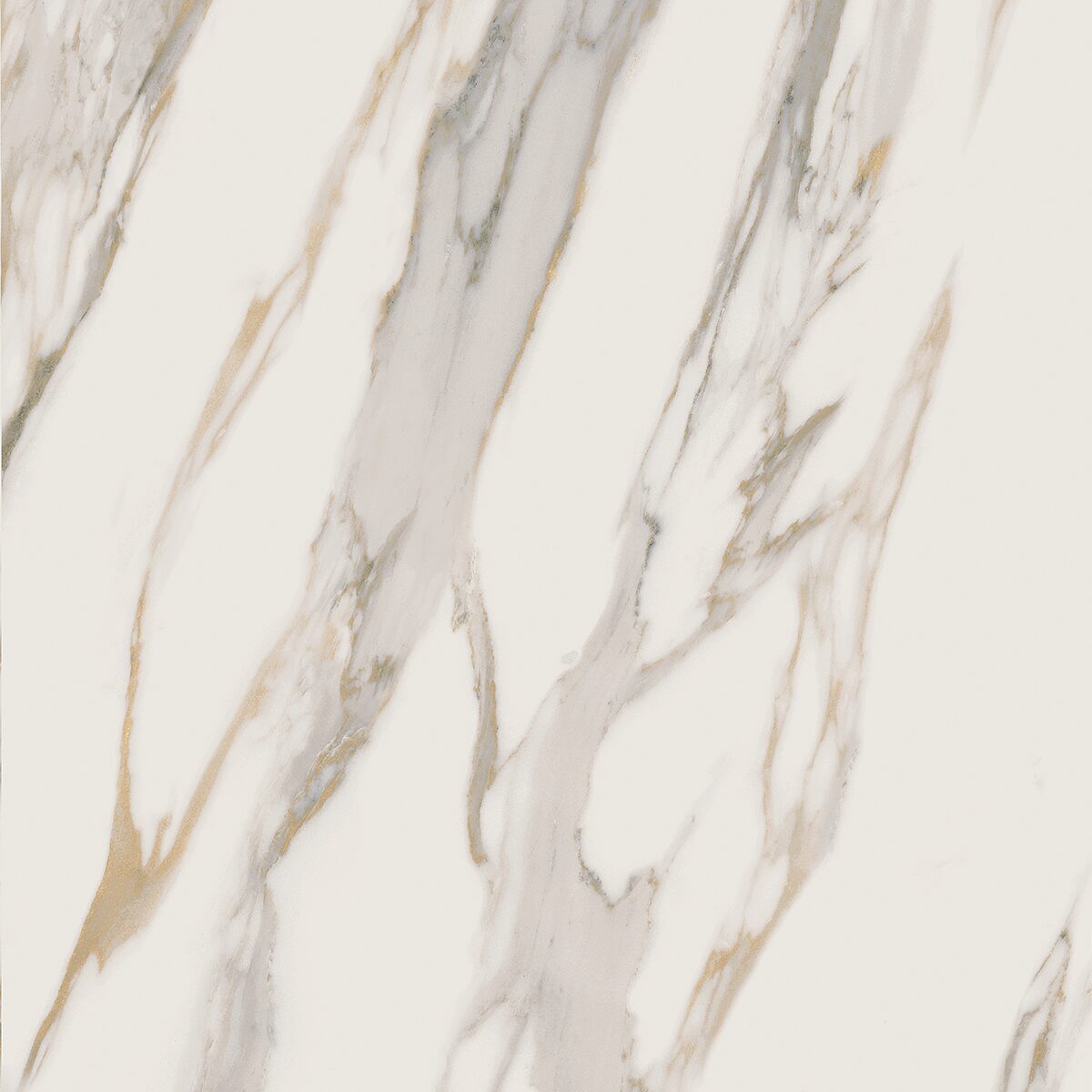 Плитка из керамогранита RM01 60x60x10 Полир. (Керамический гранит)
