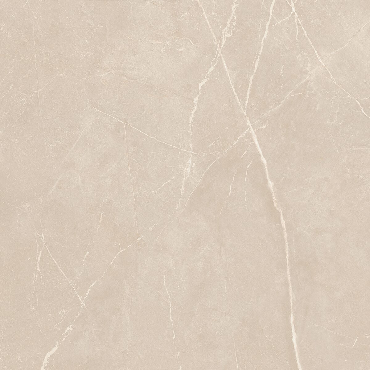 Плитка из керамогранита NL01 60x60x10 Полир. (Керамический гранит)