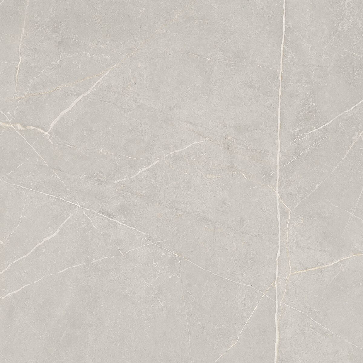 Плитка из керамогранита NL02 60x60x10 Непол.Рект. (Керамический гранит)