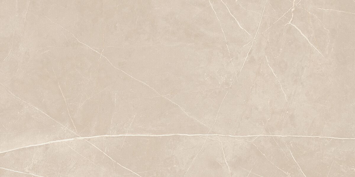 Плитка из керамогранита NL01 60x120x10 Непол.Рект. (Керамический гранит)