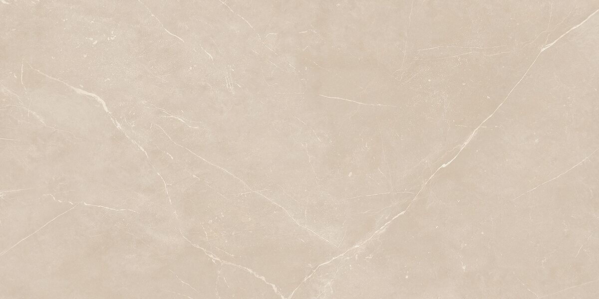 Плитка из керамогранита NL01 60x120x10 Непол.Рект. (Керамический гранит)
