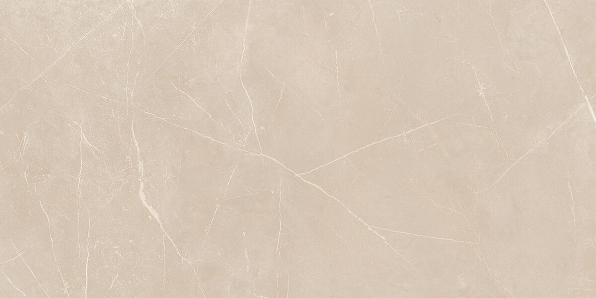 Плитка из керамогранита NL01 60x120x10 Непол.Рект. (Керамический гранит)