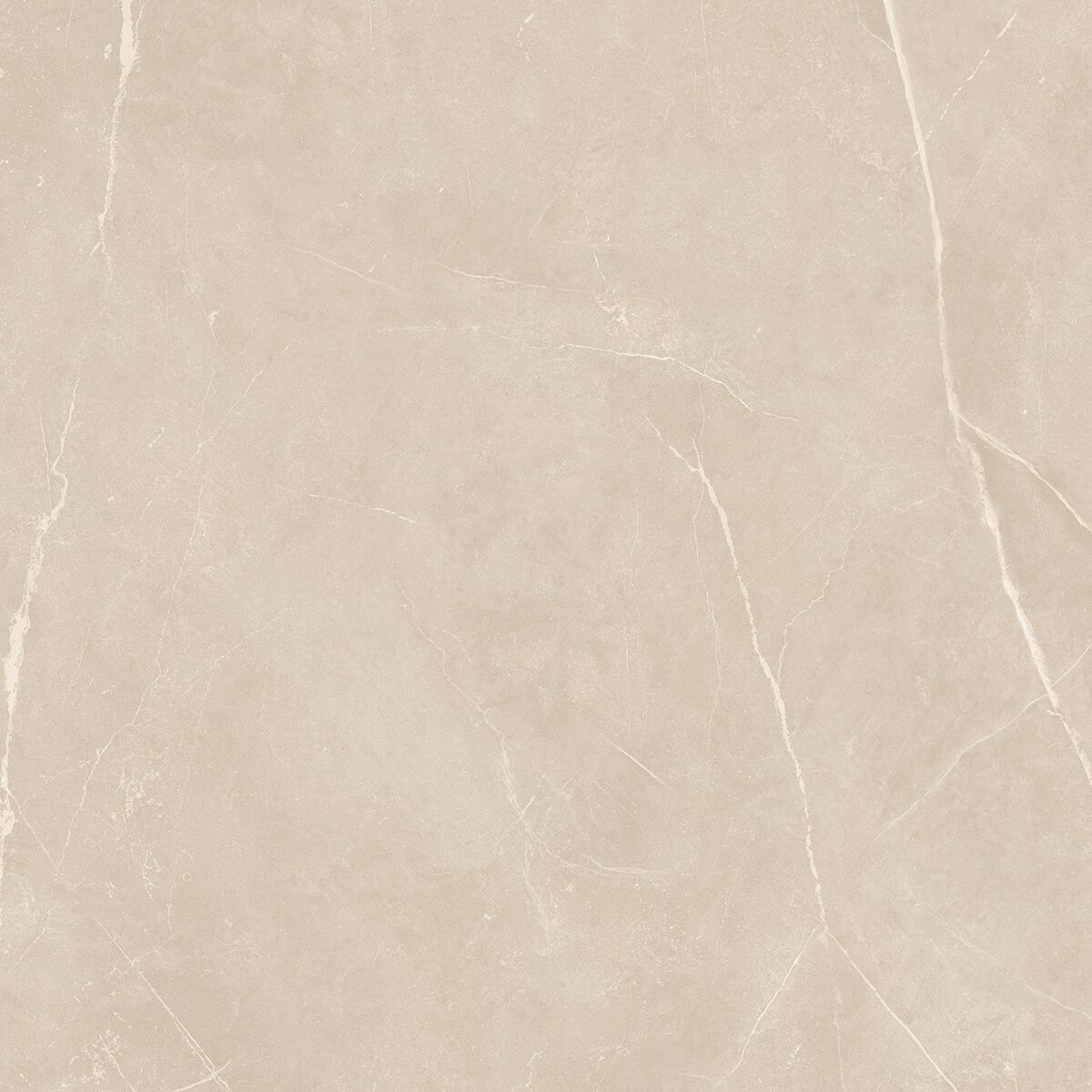 Плитка из керамогранита NL01 60x60x10 Полир. (Керамический гранит)
