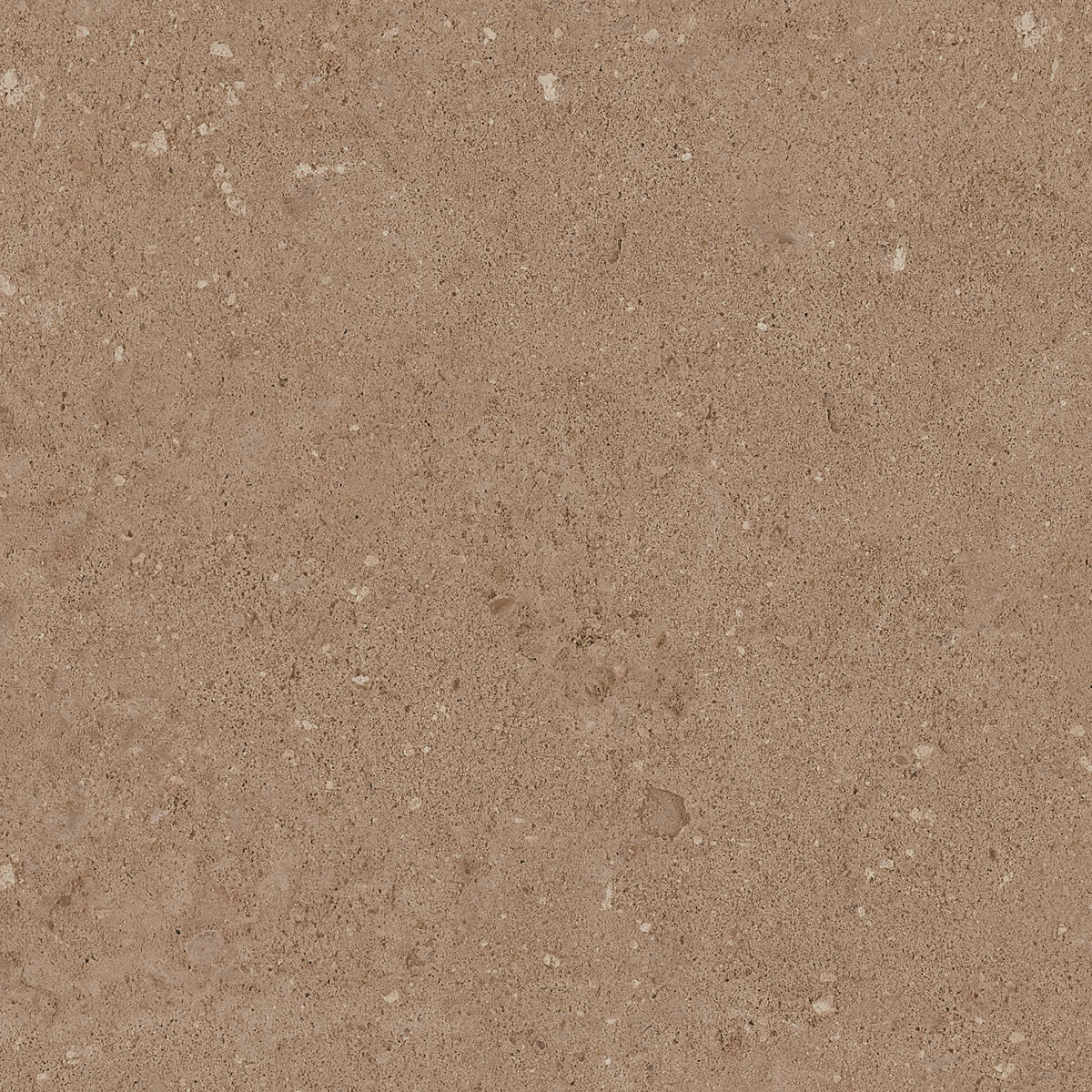 Плитка из керамогранита NP03 40,5x40,5x8 Непол. (Керамический гранит) (43,296 м2)