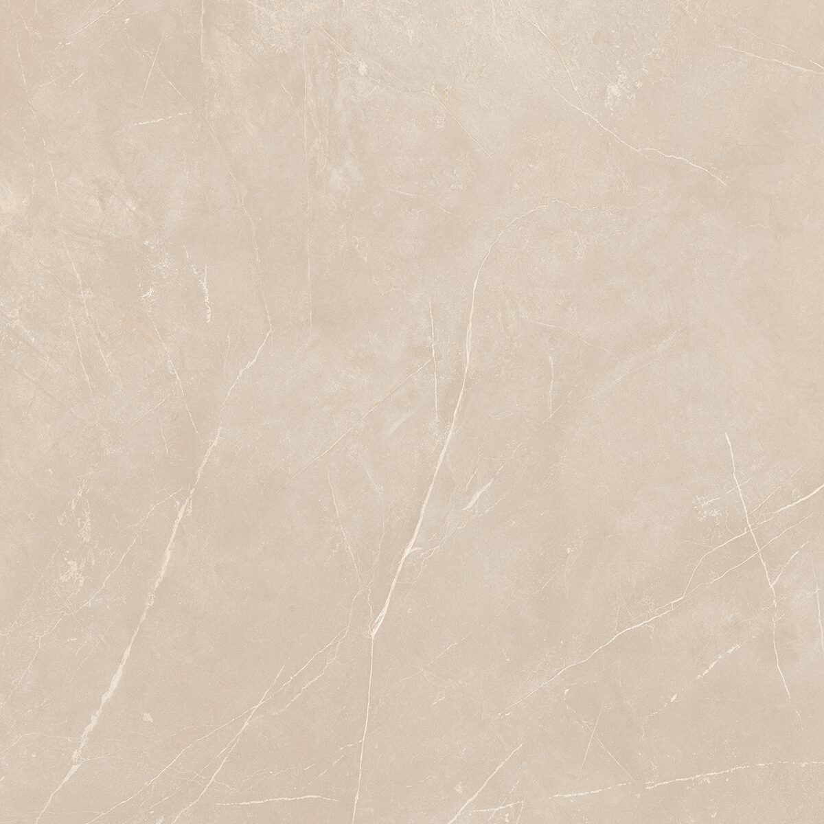 Плитка из керамогранита NL01 60x60x10 Полир. (Керамический гранит)