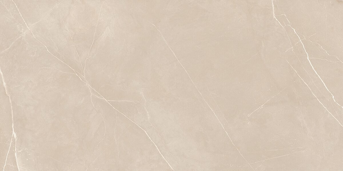 Плитка из керамогранита NL01 60x120x10 Непол.Рект. (Керамический гранит)