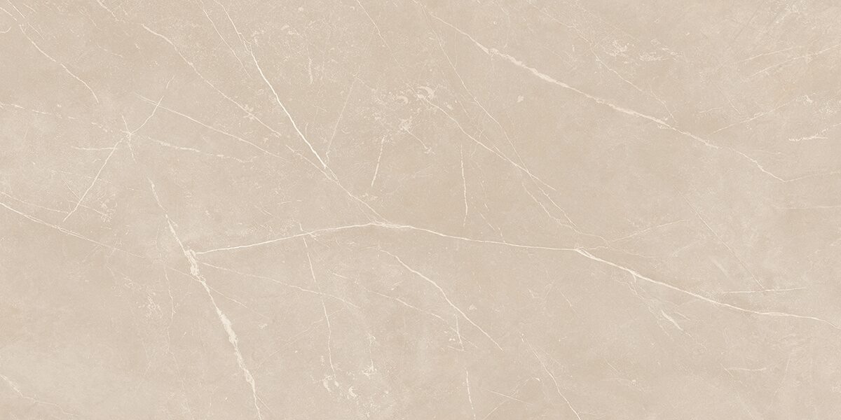 Плитка из керамогранита NL01 60x120x10 Непол.Рект. (Керамический гранит)