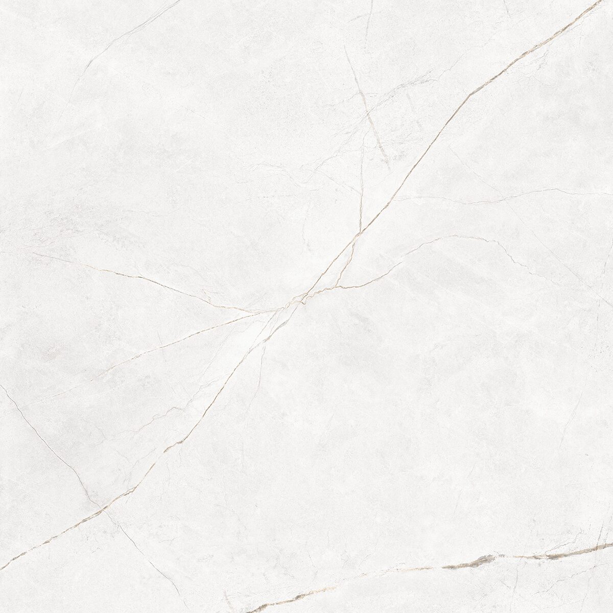 Плитка из керамогранита NL00 60x60x10 Непол.Рект. (Керамический гранит)