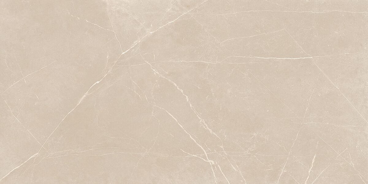 Плитка из керамогранита NL01 60x120x10 Непол.Рект. (Керамический гранит)