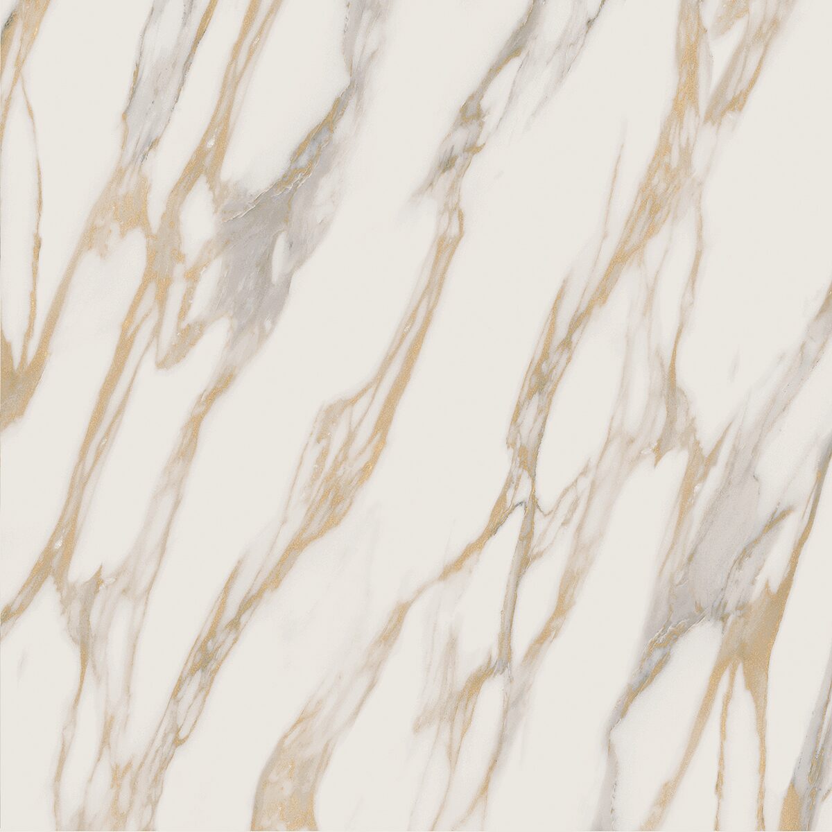 Плитка из керамогранита RM01 60x60x10 Полир. (Керамический гранит)