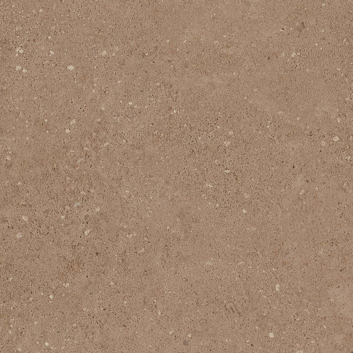 Плитка из керамогранита NP03 40,5x40,5x8 Непол. (Керамический гранит) (43,296 м2)