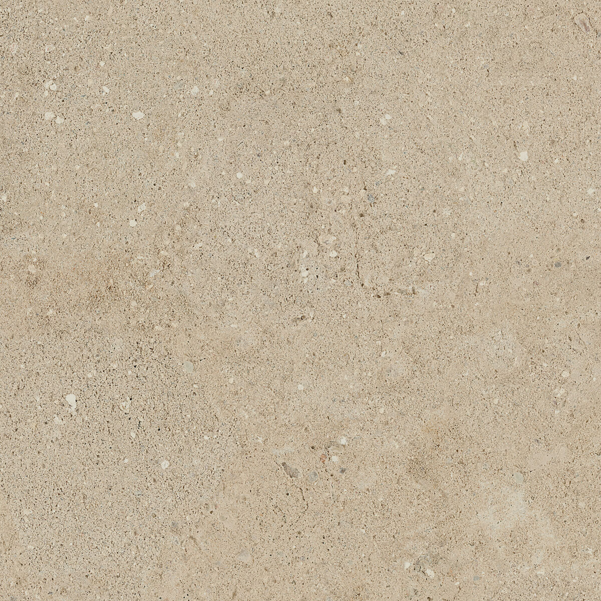 Плитка из керамогранита NP02 40,5x40,5x8 Непол. (Керамический гранит) (43,296 м2)