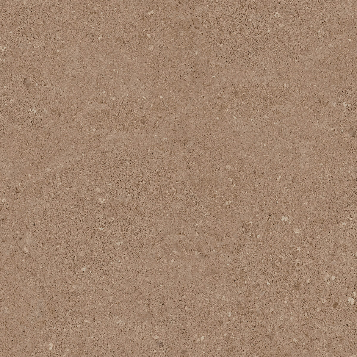 Плитка из керамогранита NP03 40,5x40,5x8 Непол. (Керамический гранит) (43,296 м2)
