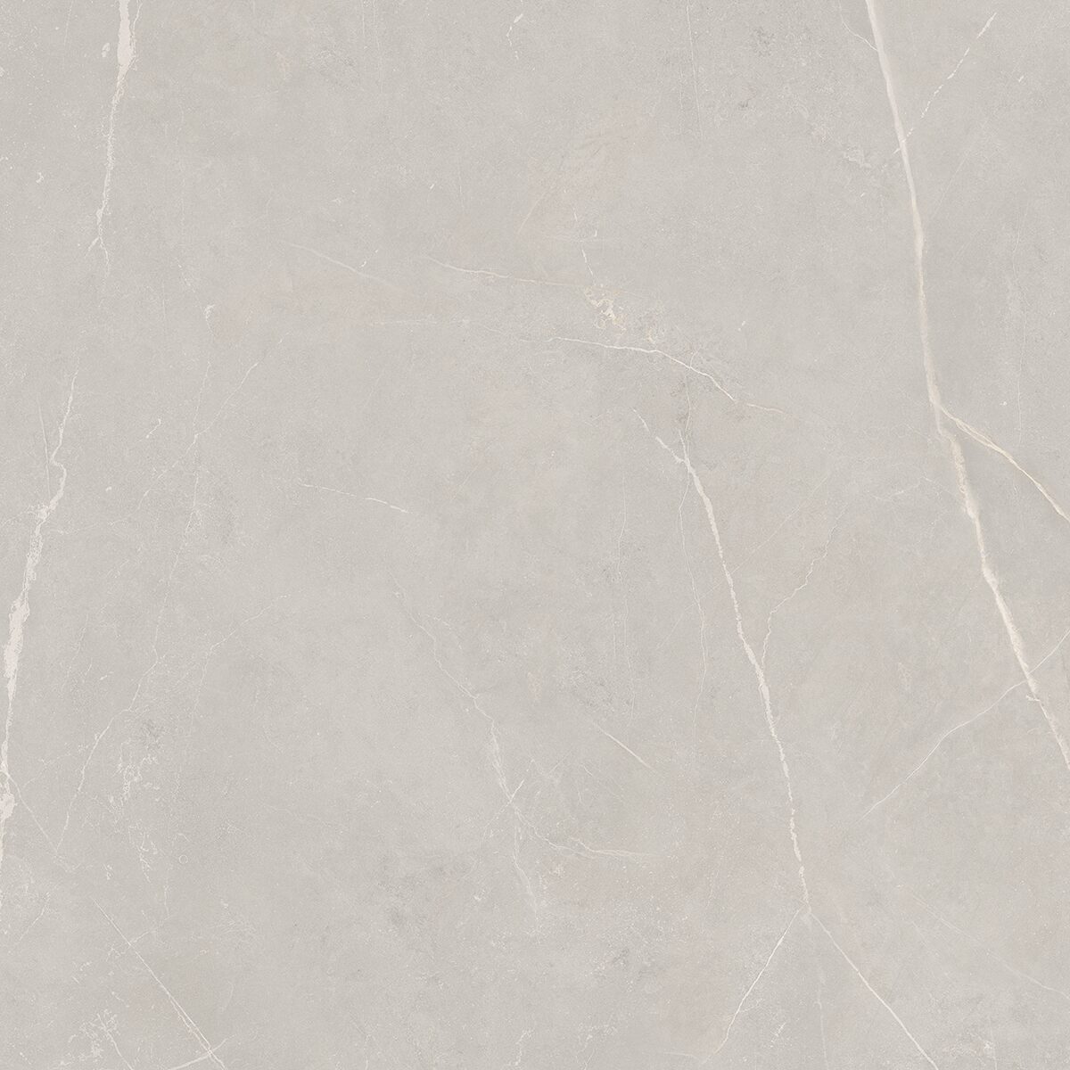 Плитка из керамогранита NL02 60x60x10 Непол.Рект. (Керамический гранит)