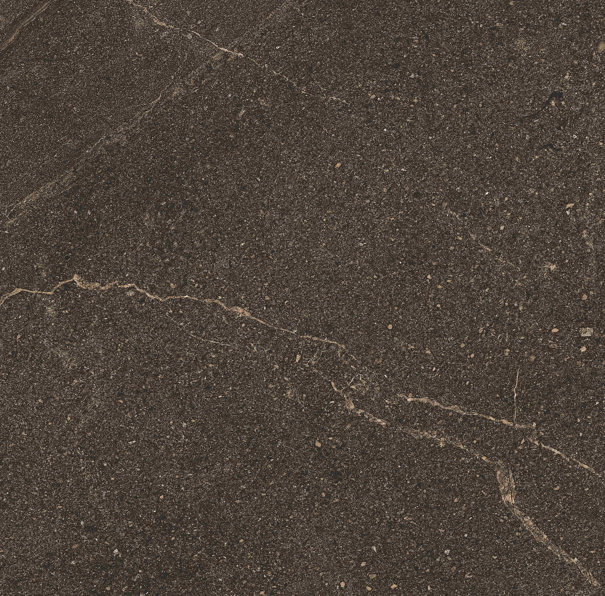 Плитка из керамогранита GB04 60x60x10 Непол.Рект. (Керамический гранит)