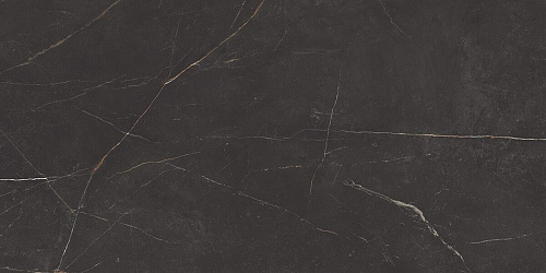 Плитка из керамогранита NL04 60x120x10 Непол.Рект. (Керамический гранит)