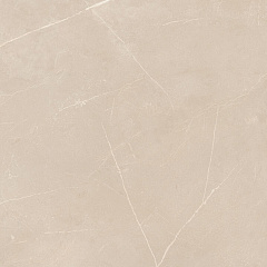 Плитка из керамогранита NL01 60x60x10 Полир. (Керамический гранит)