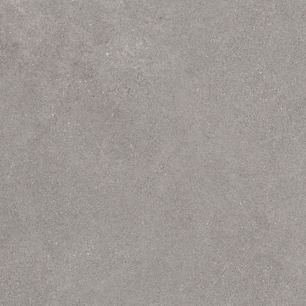 Плитка из керамогранита COG201 60x60x20 Противоскольз.Рект. (Керамический гранит)