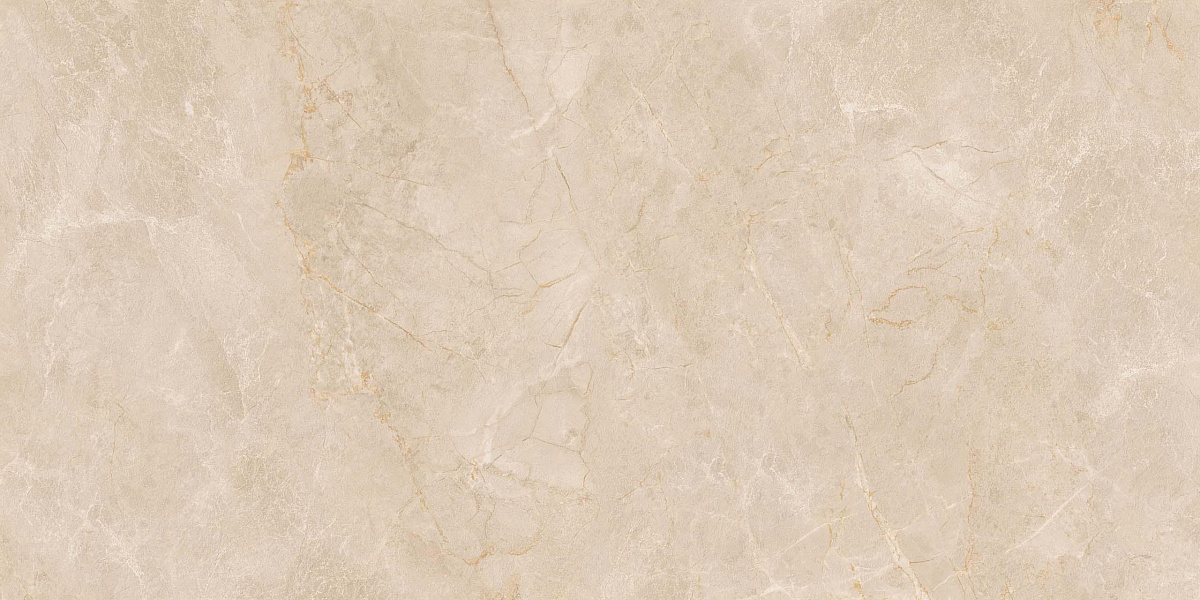 Плитка из керамогранита EXM301 60x120x9 Непол.Рект. (Керамический гранит)