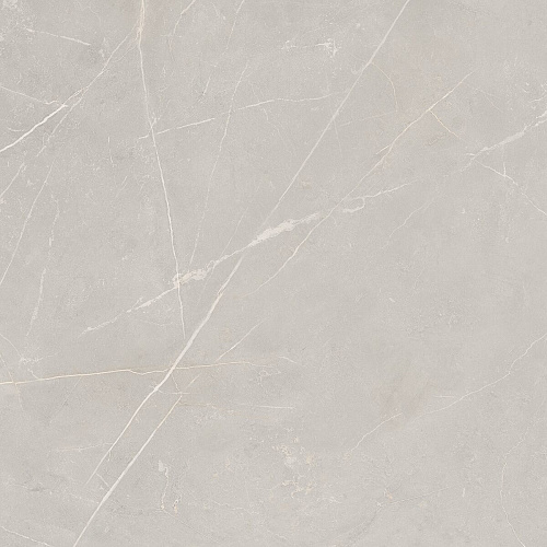 Плитка из керамогранита NL02 60x60x10 Полир. (Керамический гранит)
