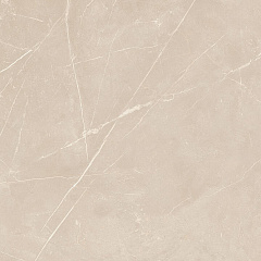 Плитка из керамогранита NL01 60x60x10 Полир. (Керамический гранит)
