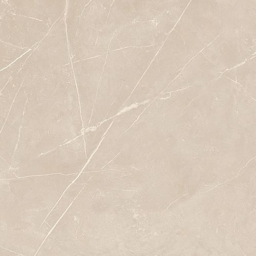Плитка из керамогранита NL01 60x60x10 Полир. (Керамический гранит)