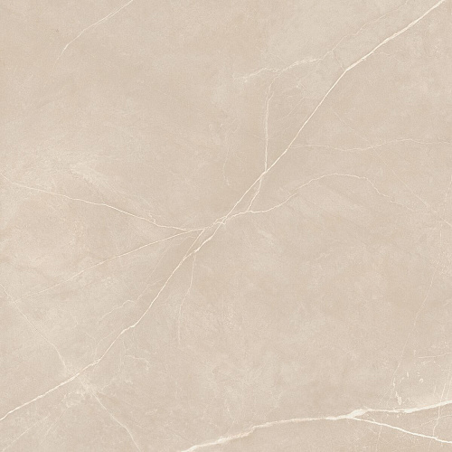Плитка из керамогранита NL01 60x60x10 Полир. (Керамический гранит)