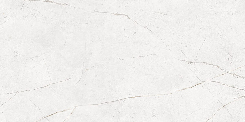 Плитка из керамогранита NL00 60x120x10 Непол.Рект. (Керамический гранит)
