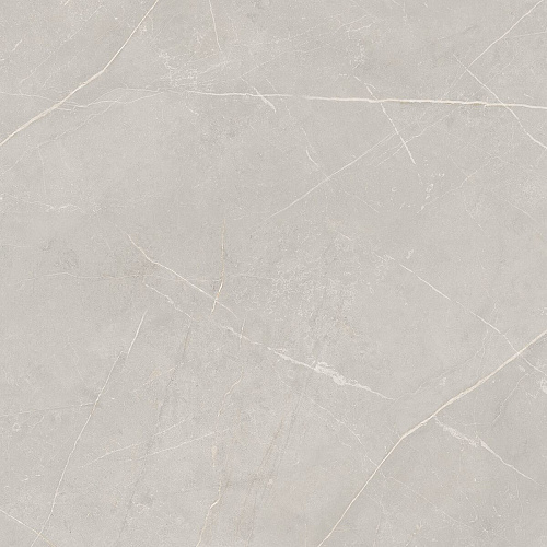 Плитка из керамогранита NL02 60x60x10 Непол.Рект. (Керамический гранит)