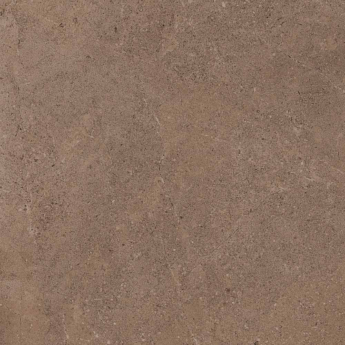 Плитка из керамогранита GO02 60x60 Непол.Рект. (Керамический гранит)