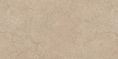 Плитка из керамогранита EXS303 60x120x9 Непол.Рект. (Керамический гранит)