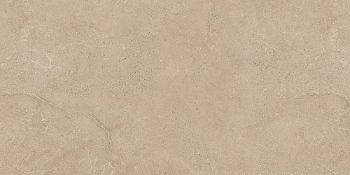 Плитка из керамогранита EXS303 60x120x9 Непол.Рект. (Керамический гранит)