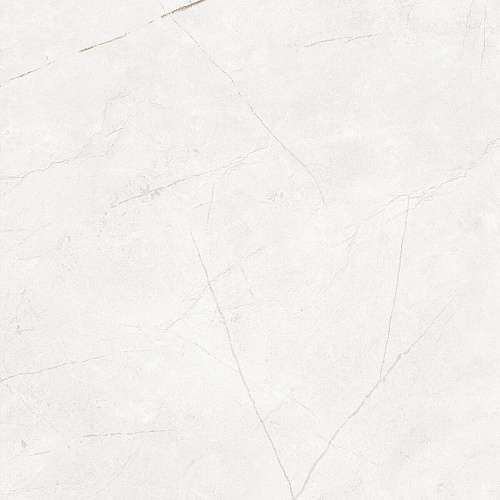 Плитка из керамогранита NL00 60x60x10 Непол.Рект. (Керамический гранит)