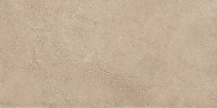 Плитка из керамогранита EXS303 60x120x9 Непол.Рект. (Керамический гранит)
