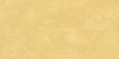 Плитка из керамогранита SR04 60x120х10 Непол.Рект. (Керамический гранит)