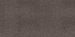 Плитка из керамогранита CA05 60x120x10 Непол.Рект. (Керамический гранит)