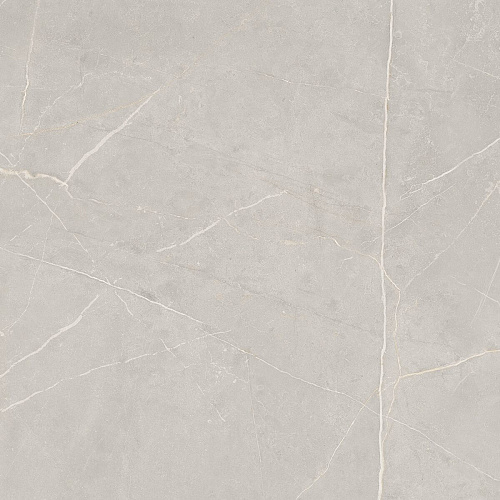 Плитка из керамогранита NL02 60x60x10 Полир. (Керамический гранит)