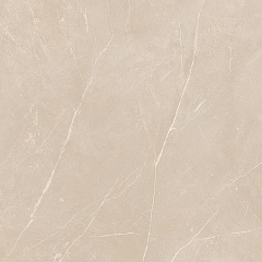 Плитка из керамогранита NL01 60x60x10 Полир. (Керамический гранит)
