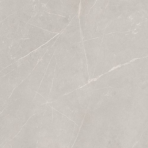 Плитка из керамогранита NL02 60x60x10 Полир. (Керамический гранит)