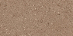 Плитка из керамогранита NP03 30,6x60,9x8 Непол. (Керамический гранит)