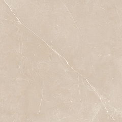 Плитка из керамогранита NL01 60x60x10 Полир. (Керамический гранит)