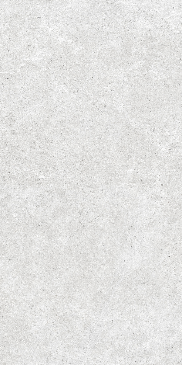 Монохром K-2060/MR/600x1200x10