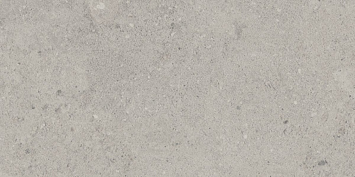 Плитка из керамогранита NP01 30,6x60,9x8 Непол. (Керамический гранит)