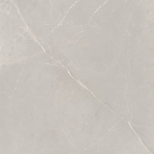 Плитка из керамогранита NL02 60x60x10 Полир. (Керамический гранит)
