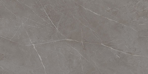 Плитка из керамогранита NL03 60x120x10 Непол.Рект. (Керамический гранит)