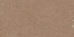 Плитка из керамогранита NP03 30,6x60,9x8 Непол. (Керамический гранит)