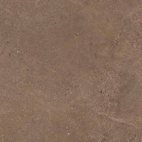 Плитка из керамогранита GO02 60x60 Непол.Рект. (Керамический гранит)