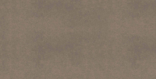 Плитка из керамогранита CA04 60x120x10 Непол.Рект. (Керамический гранит)