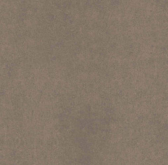 Плитка из керамогранита CA04 60x60x10 Непол.Рект. (Керамический гранит)